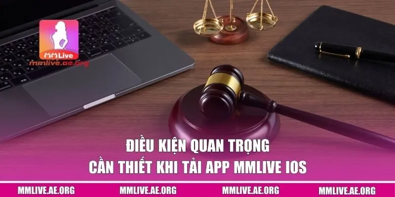 Điều kiện quan trọng cần thiết khi tải app MMLive IOS